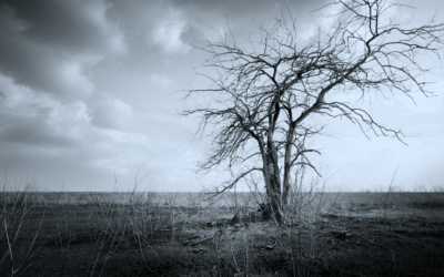 Death Found Me
