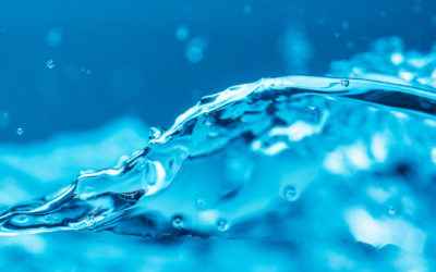 Water – Unlocking a Richer Life with the Power of Your Mind