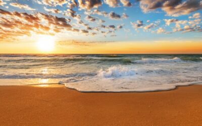 Turning the Tide: Why This Podcast Really Matters