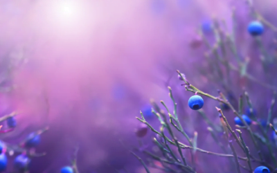Dealing with Uncertainty and Unlocking the Power of Gratitude