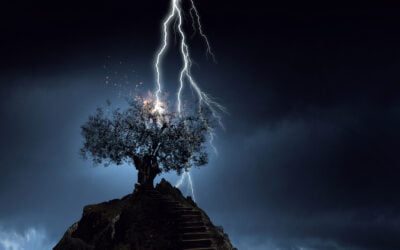 Turning Triggers Into Triumphs: Overcoming Setbacks and Trauma